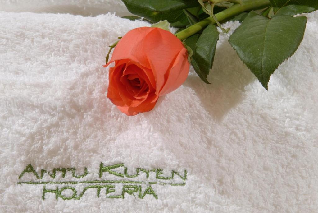 Hosteria Antu Kuyen Сан-Карлос-де-Барилоче Экстерьер фото